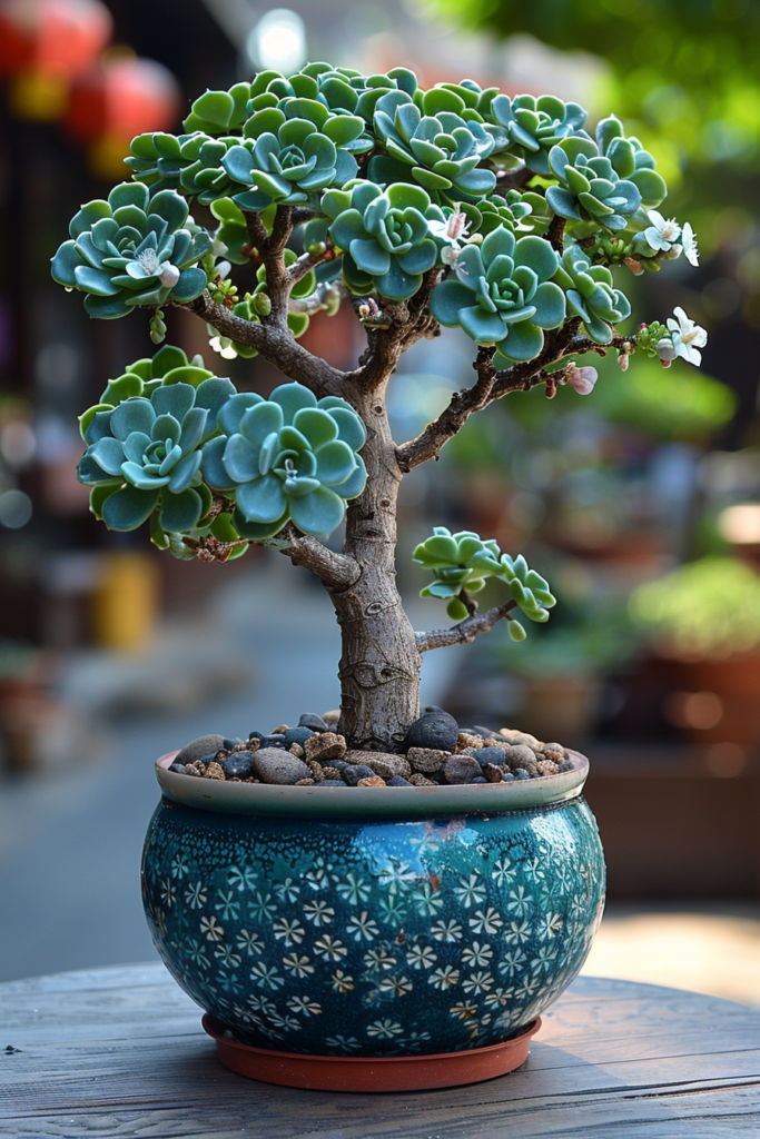 Plante Crassula (Arbre de Jade) avec des feuilles épaisses et vertes, cultivée dans un pot décoratif en céramique.